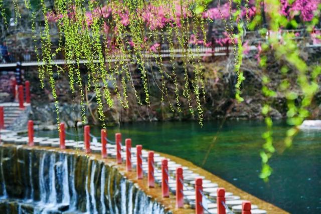 走，去河南山野里“撒个欢”！