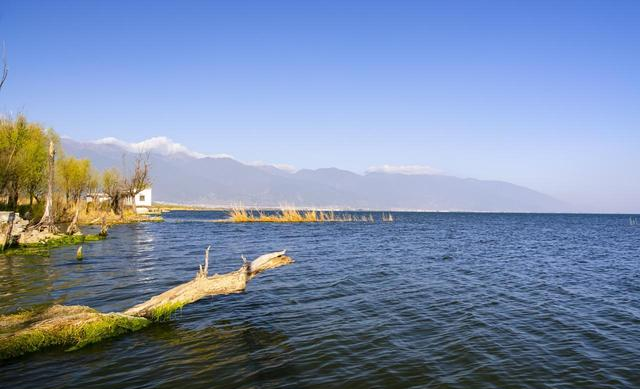 清明小长假，兰州周边撒欢指南！赏花烧烤划船，邂逅甘肃小洱海