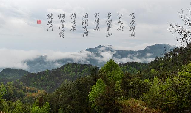 烟雨大别山，醉美望天村