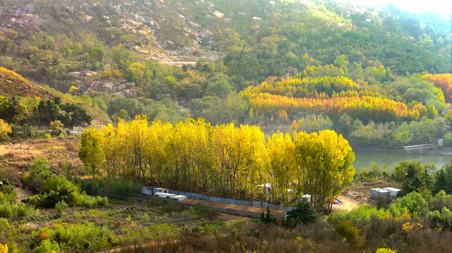 立冬悠游青岛西海岸新区灵山卫街道，乡野美得不像话，像画！