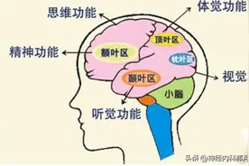 什么是脑出血？有多危险？出血后如何尽快康复？今天一文给你说清图片