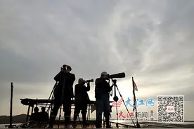 推出8条“观鸟+旅游”精品线路，江西观鸟经济现状如何？图片