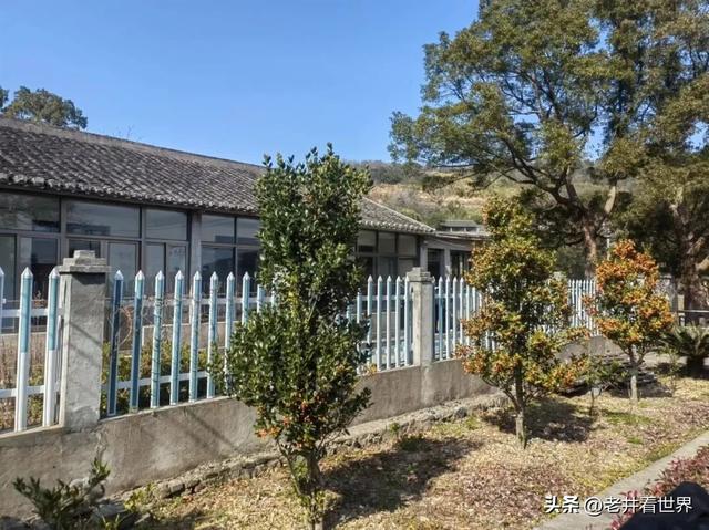 醉在桃花岛 文‖井明新