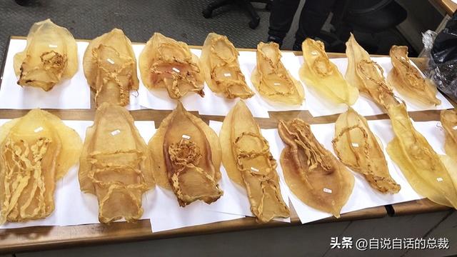 花胶十萬元一斤系什麼胶 2026年一百多一斤的花胶