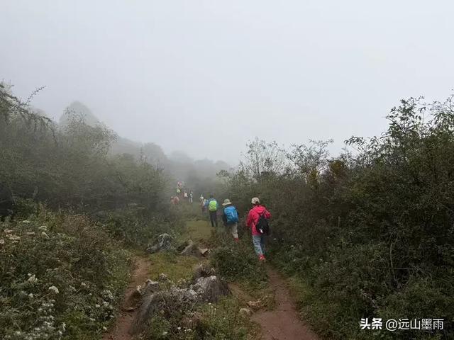 攀登昆明十峰之宜良老爷山，经历密林大雨考验，惊喜交加，难忘