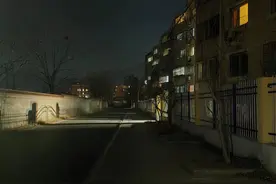 住宅几步之遥就是马路，噪声和扬尘困扰有解吗？图片