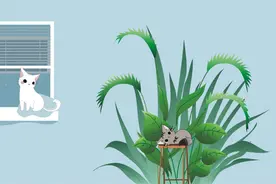 妻子把丈夫当外人的4个表现，中了1条，就骗自己了图片