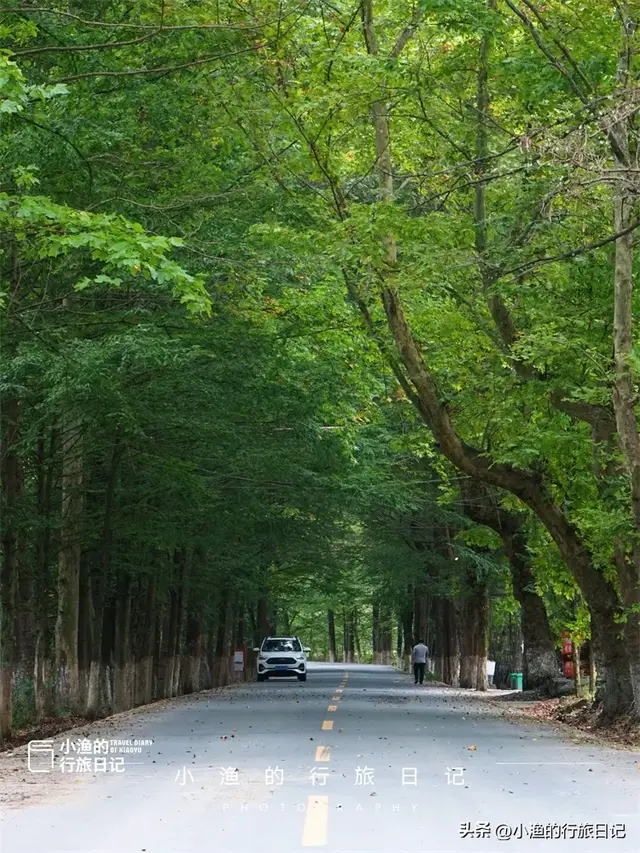 这座人口4万多的秦岭小城，夏天太太太舒服！气温22℃，超强避暑