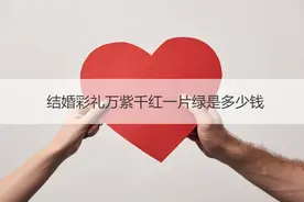 结婚彩礼万紫千红一片绿是多少钱？图片