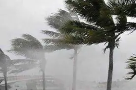 停课停工停运！防城港启动防御台风一级应急响应图片