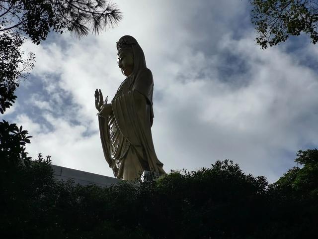 闲游普陀山