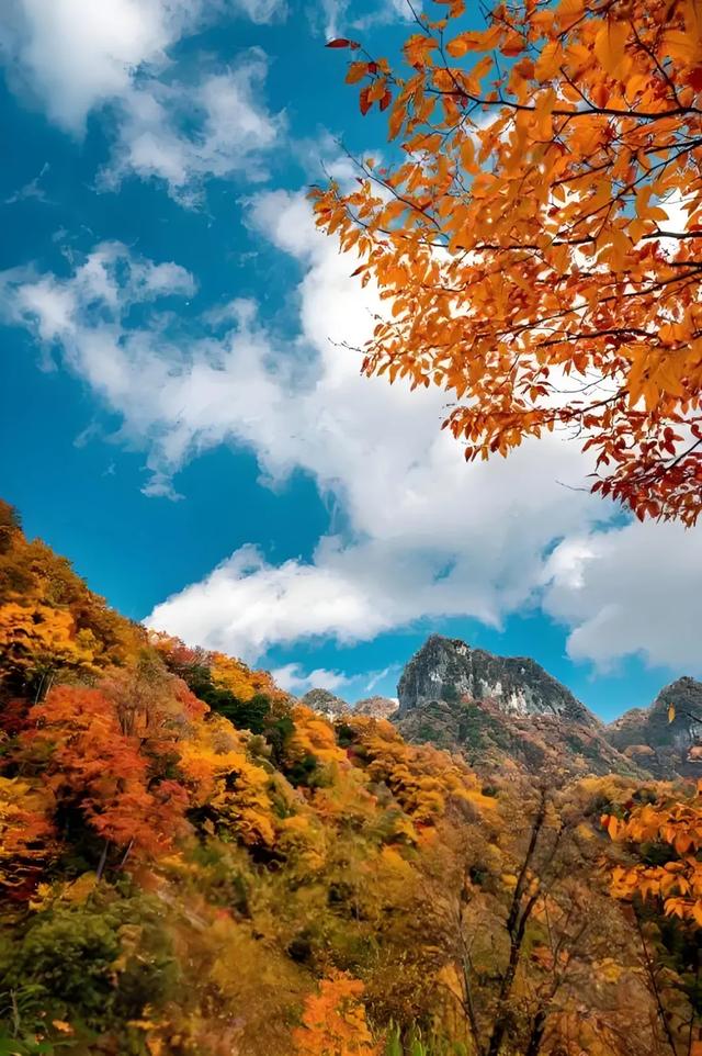 四川光雾山：这片680平方公里的红叶海洋，藏着你不知道的秘密
