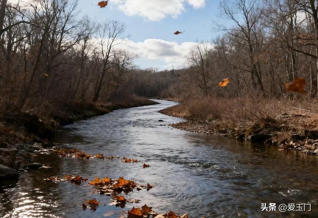上午立冬冻死牛	，下午立冬暖烘烘	”，今年立冬几点？有啥说法？