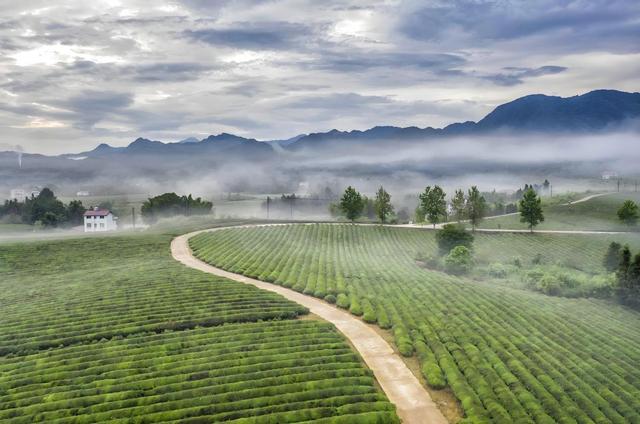 山多耕地少，真的是中国的劣势吗？为什么就我们一个古国剩下来？