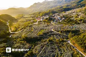 全省最美！漳州2条乡村“福”路上榜图片