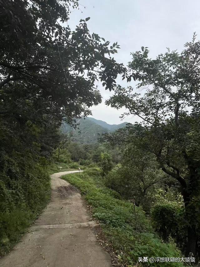 在邹平上回村可以攀爬摩诃峰，但俺没爬，俺买了农家菜打了山泉水