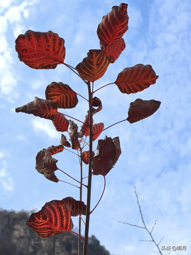 龙洞胜境尤奇崛