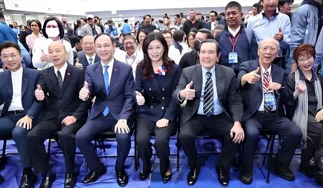 被称“脓包”后	，郑丽文任命新大将，向大陆摊牌，蔡正元表态亮了