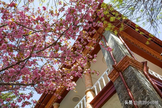 2026年4月去哪玩？国内精华10个自驾目的地路线地图集锦推荐