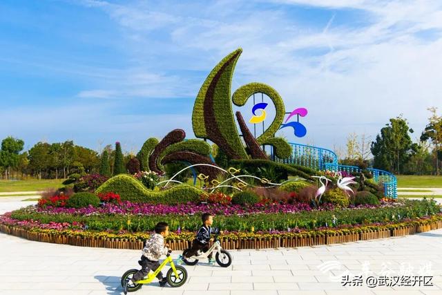 这个秋天，来武汉经开区共赴一场菊花之约