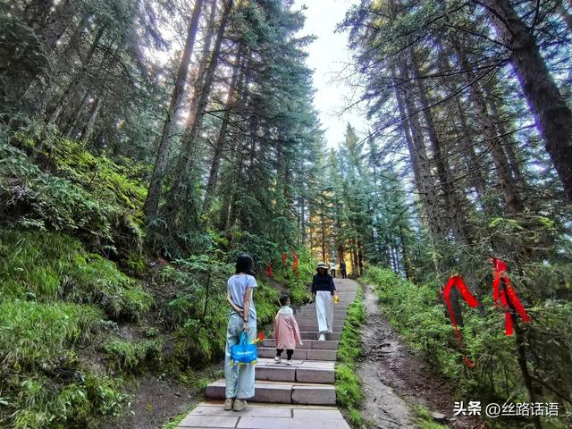 夏日避暑何处去？焉支山“天然氧吧”等你来寻