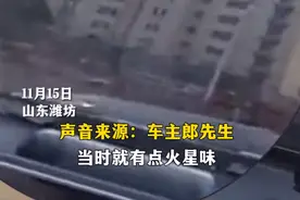 男子称提车4个月的理想L8pro门把手自燃，当事人：售后称问题不大会修理换件，修好了我也不敢开，担心安全图片