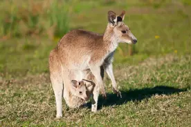 10个脑洞大开又奇葩的冷知识，附带奇怪但真实的细节图片