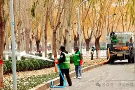 涉县：树木涂白“添新衣”，增强御寒“抵抗力”图片