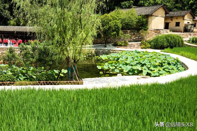 纪念毛主席诞辰132周年：瞻仰韶山故居，追寻初心之源