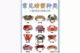 常见螃蟹种类，口感特别和挑选方法图片