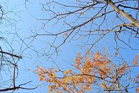 千万不要透支自己的福报图片