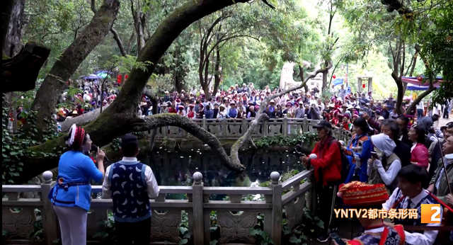 “天气舒服就多待！” 这个群体错峰出游持续升温，云南成旅居度假热门选择