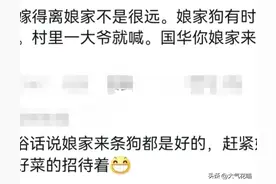 原来狗狗自己也会走亲戚！网友：我四姨家两条狗会自己下馆子！图片