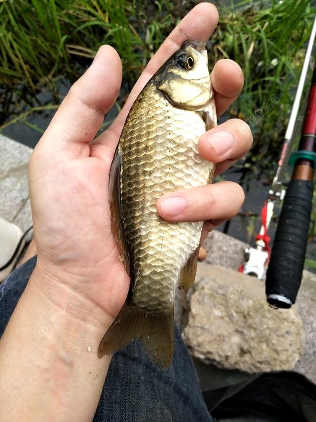 垂钓亮马河