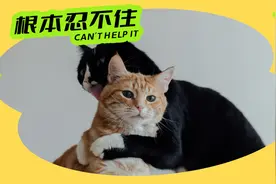 伴侣总爱咬，是有什么怪癖吗？图片