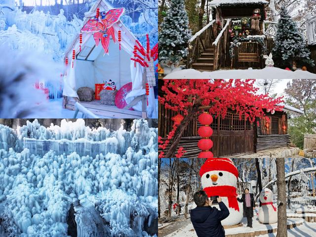 2026“马”年免费福利、吃临沂炒鸡送门票、年卡……千万别错过！