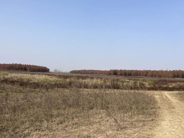 骑游来安半塔釜山水库池杉林生态园攻略