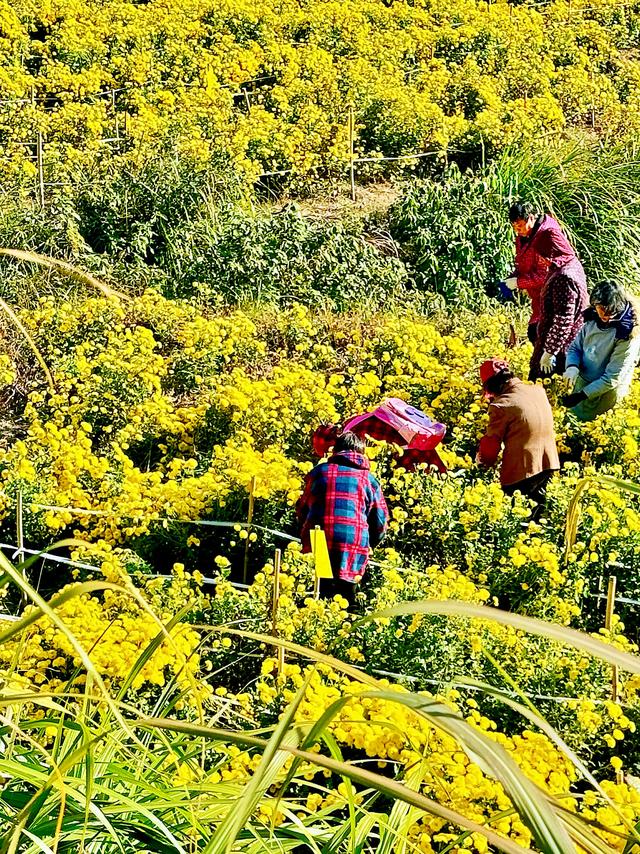 婺里古乡（上饶市婺源县）