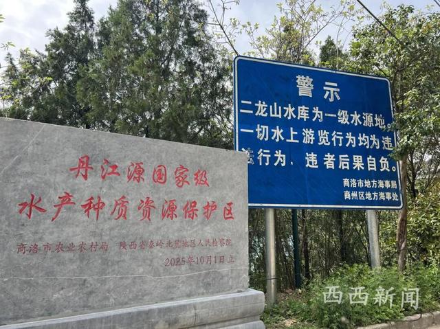 商洛二龙山水库成“网红”打卡地 游客违规游玩存隐患