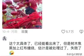 终于知道为啥说建国后动物不许成精，看网友分享的奇事，大开眼界图片