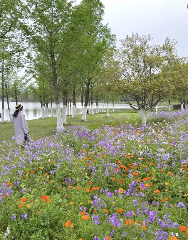 合肥版“赛里木湖”火了!好多人打卡