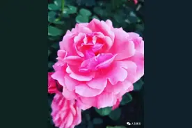 夸女生漂亮的俏皮话，把女孩子夸上天的句子图片