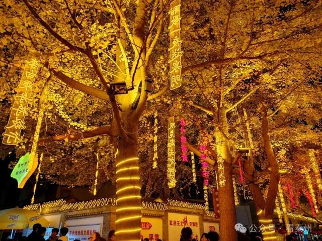 天水“黄金大道”即将上线！今年有这些亮点→