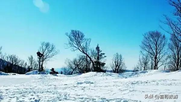 冰雪王国与四季乐园：亚布力的双重奏