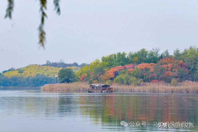 马上过节！淄博10+家景区，免门票！福利不只一两天~