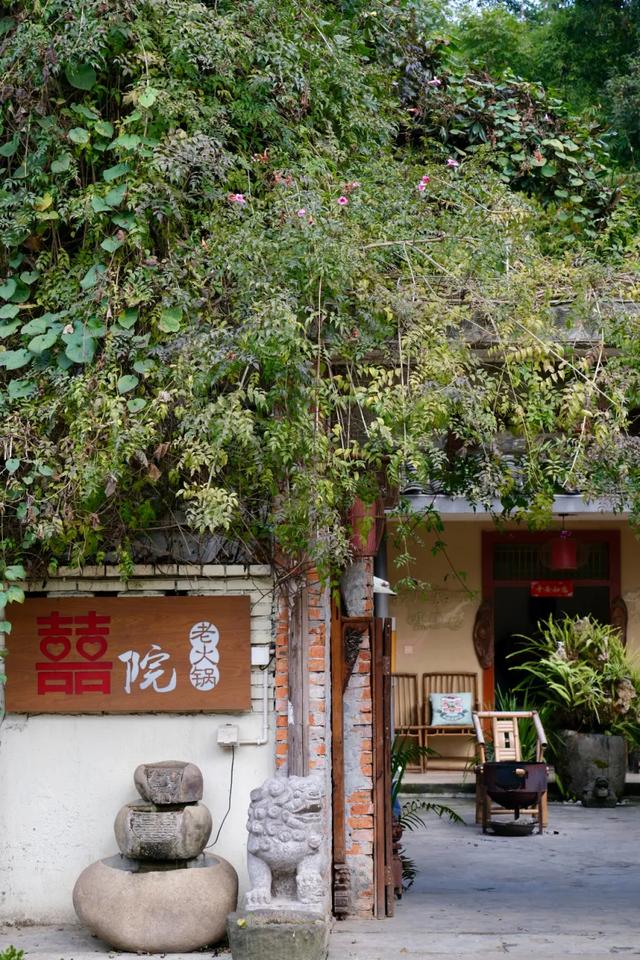 双流这8家秘境小院，来了根本不想走