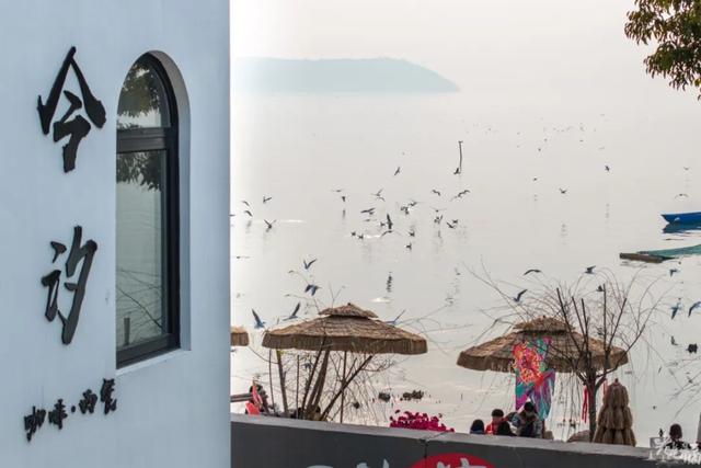 真的很美！2025苏州太湖观鸟超详细攻略来啦！