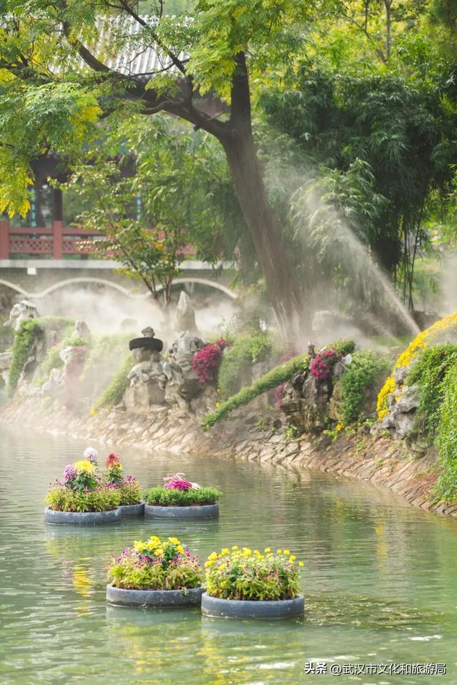 美到华妃都停步！最受欢迎的菊展打卡点就在这里