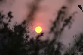 上午打麻将和下午打麻将有区别吗？揭密打麻将时间的“隐藏规则图片