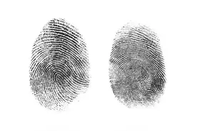 办理身份证采集10个手指纹变成两个大拇指纹？图片